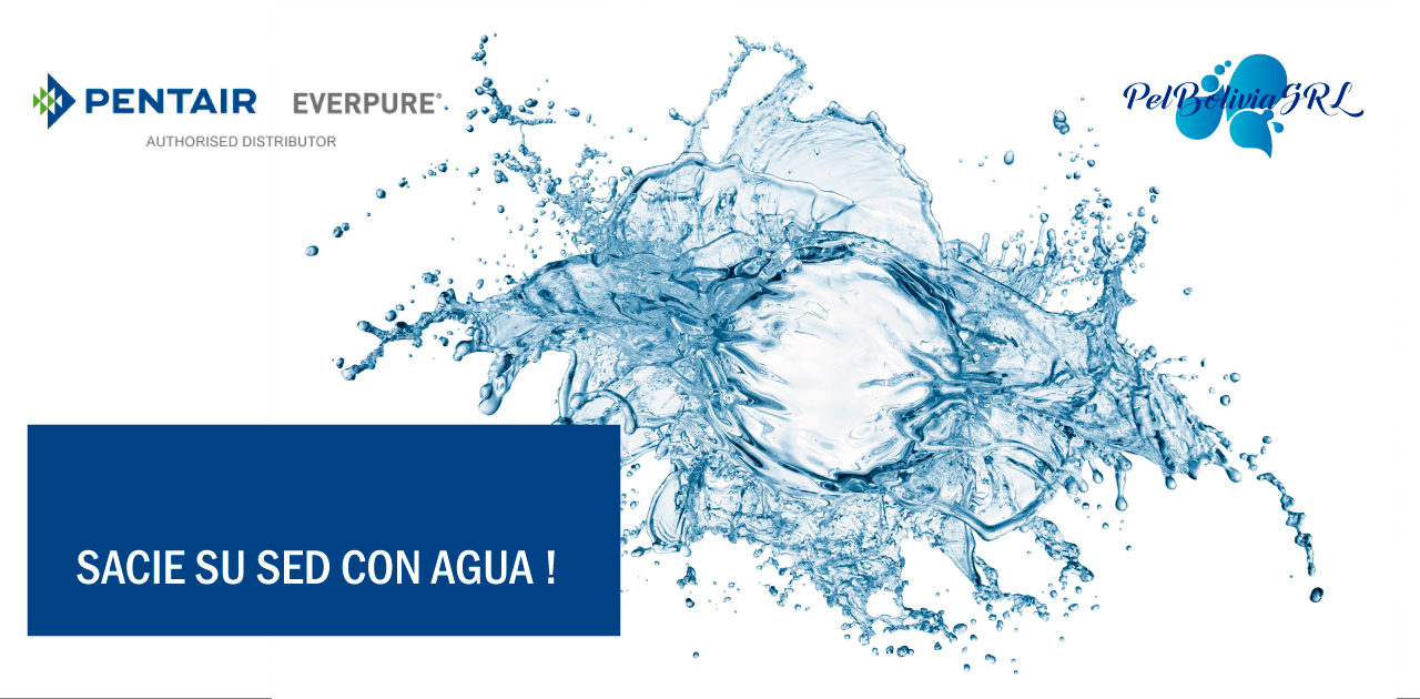 Nosotros